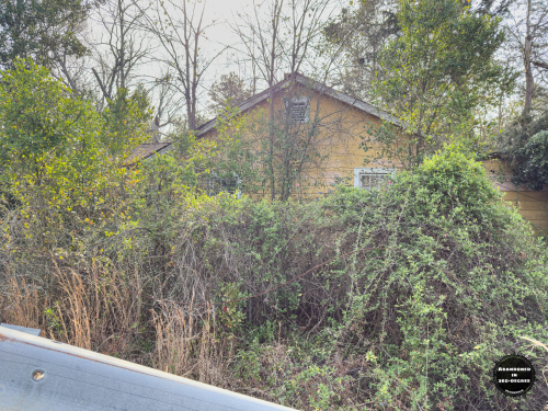 Hyde Park Neighborhood