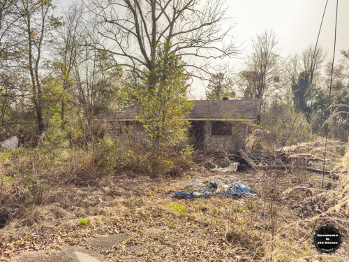 Hyde Park Neighborhood