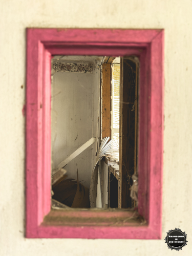 Hyde Park Neighborhood