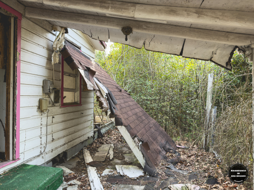 Hyde Park Neighborhood