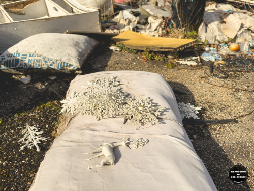 Hyde Park Neighborhood