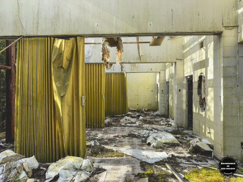 Hyde Park Neighborhood