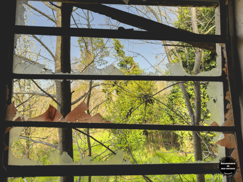 Hyde Park Neighborhood