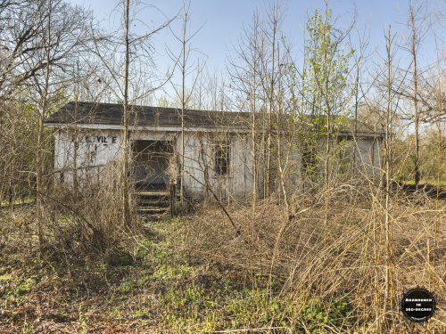 Hyde Park Neighborhood