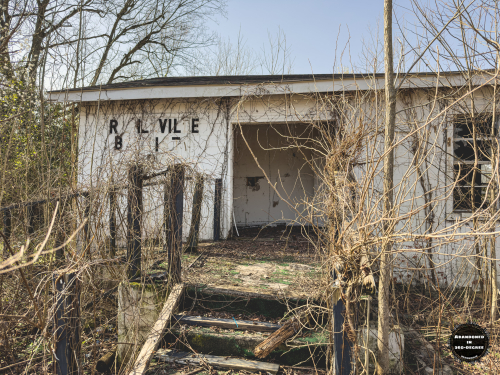 Hyde Park Neighborhood