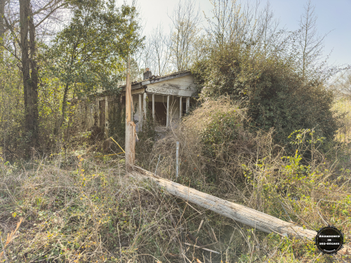 Hyde Park Neighborhood