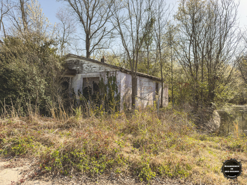 Hyde Park Neighborhood