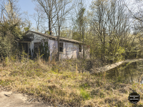 Hyde Park Neighborhood