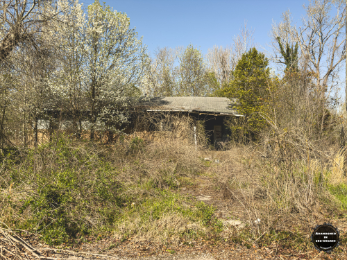 Hyde Park Neighborhood