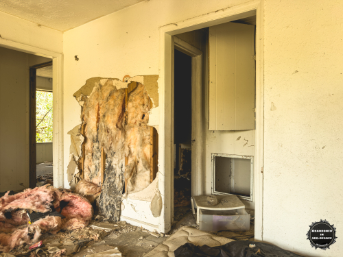 Hyde Park Neighborhood