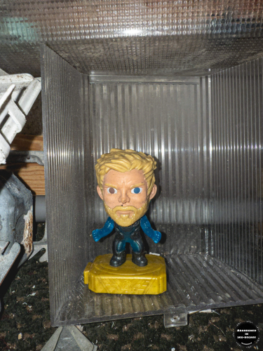 I-Drive Grand Resort and Suites