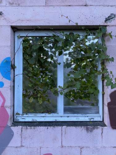 Jesus Miracle Chapel