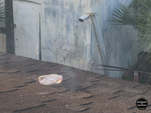 Abandoned Korona House