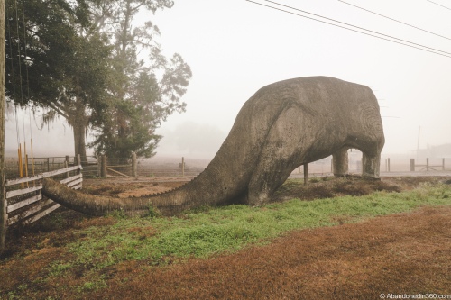 The Lake Lindsey Dinosaur