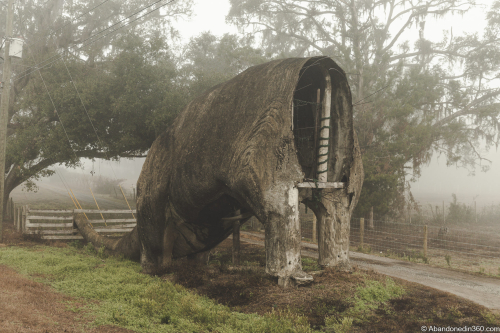 The Lake Lindsey Dinosaur