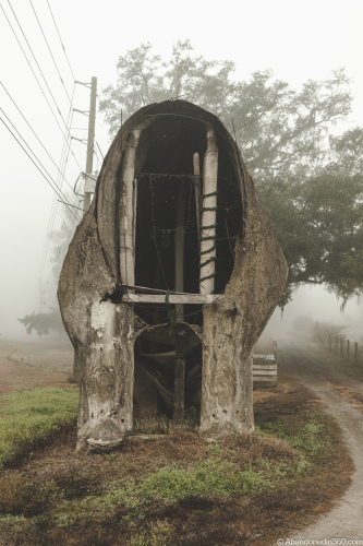 The Lake Lindsey Dinosaur