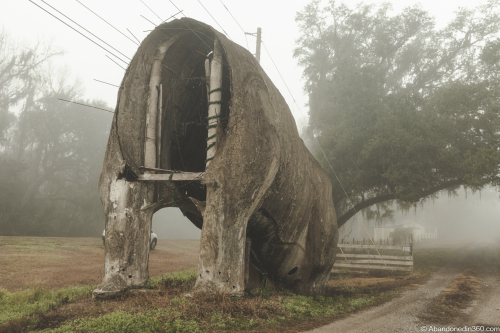 The Lake Lindsey Dinosaur