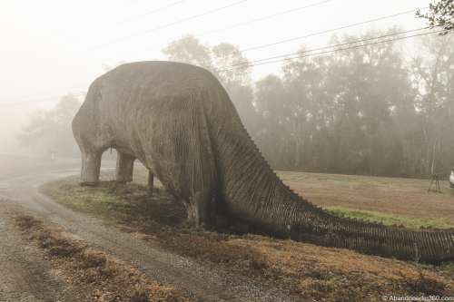 The Lake Lindsey Dinosaur