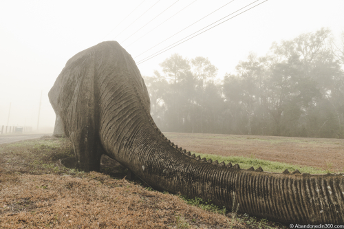 The Lake Lindsey Dinosaur