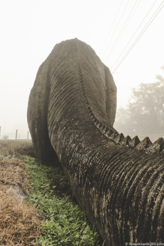 The Lake Lindsey Dinosaur