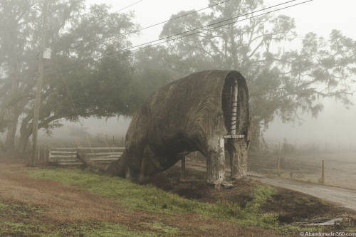 The Lake Lindsey Dinosaur