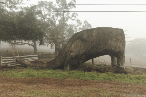 The Lake Lindsey Dinosaur