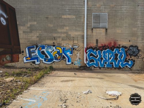 River Dyeing and Finishing