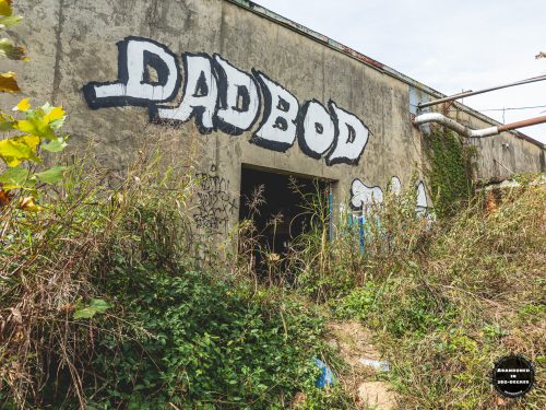 River Dyeing and Finishing