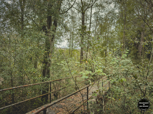 Charleston Naval Hospital