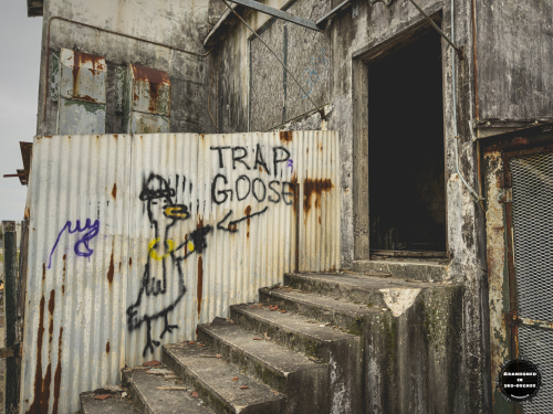 Charleston Naval Hospital