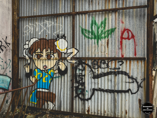 Charleston Naval Hospital