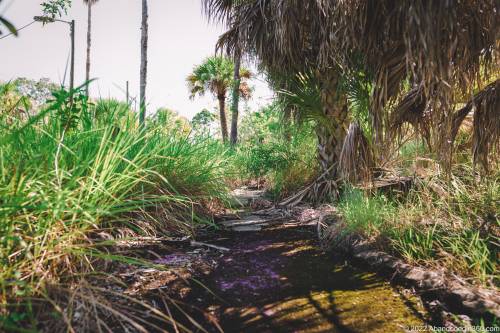 The abandoned paradise mini golf complex on Merritt Island, Florida.