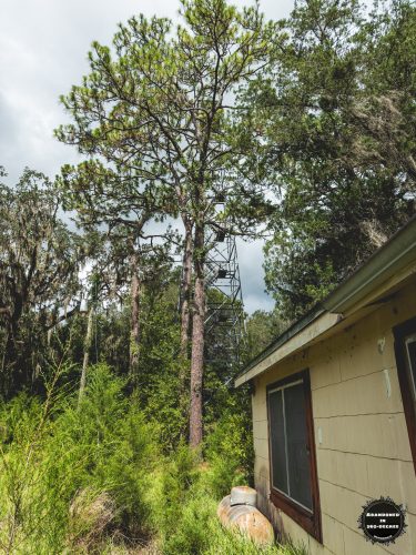 Abandoned Dunnellon Ranger Station – Florida’s Forgotten Fire Tower