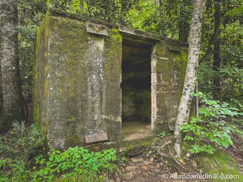 roaring-fork-falls-trail-3