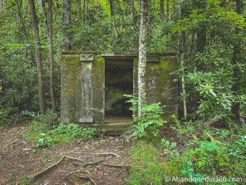 roaring-fork-falls-trail-4