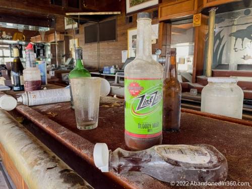 Abandoned Roseate Spoonbill Lounge in Florida