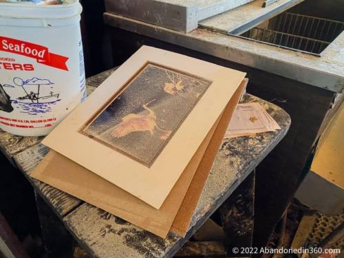 Abandoned Roseate Spoonbill Lounge in Florida