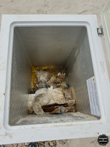 Shired Island Beach in Florida.