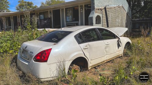 Super 8 by Wyndham Asheville-Biltmore