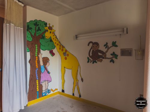 Telfair Regional Hospital