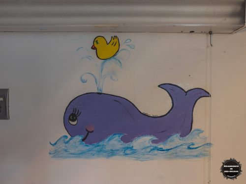 Telfair Regional Hospital