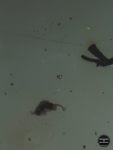 The Beach Water Park