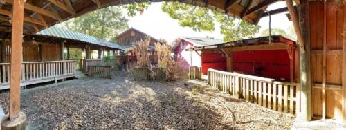 Wicked Willie's Restaurant