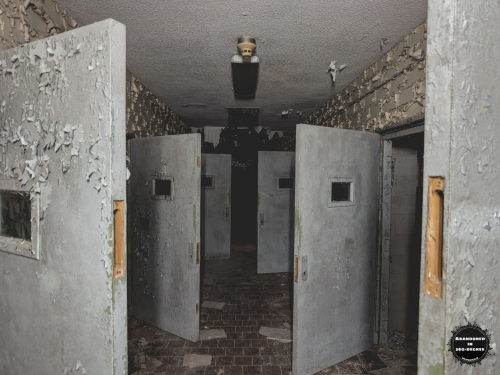 William S Hall Psychiatric Institute