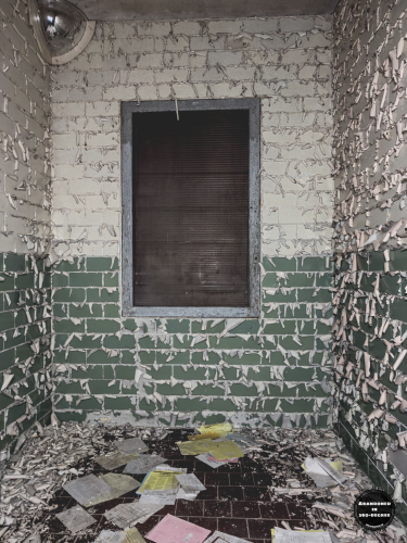 William S Hall Psychiatric Institute