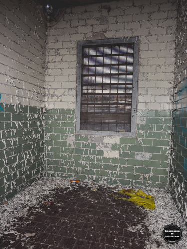 William S Hall Psychiatric Institute