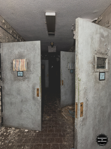 William S Hall Psychiatric Institute