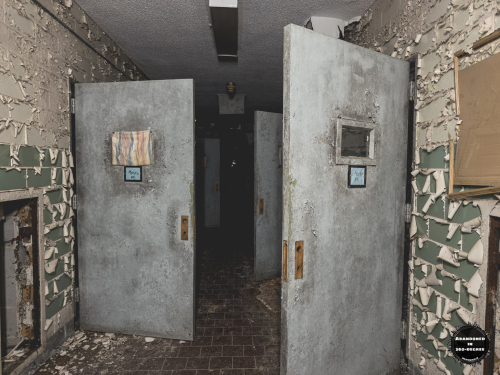 William S Hall Psychiatric Institute