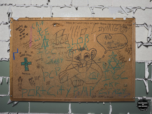 William S Hall Psychiatric Institute