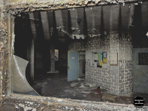 William S Hall Psychiatric Institute